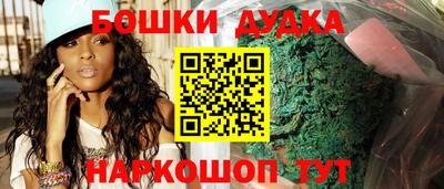 стафф Дубна