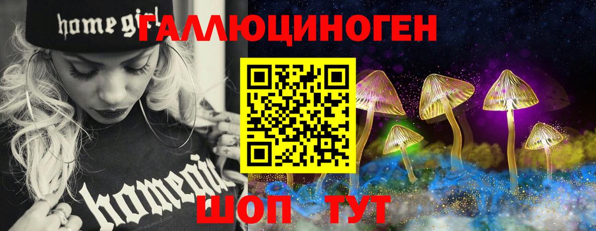Псилоцибиновые грибы MAGIC MUSHROOMS  закладки  Майкоп  Вход с VPN 